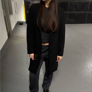 Aritzia Babaton Wool Blazer Coat